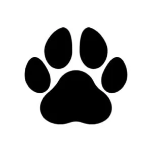 مستلزمات الحيوانات الأليفة